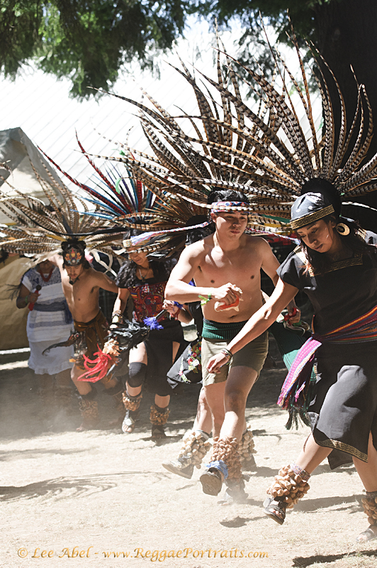 Sierra Nevada World Music Festival: A California Summer Staple ...